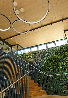 Notranji prikaz lesenega dela kampusa High Tech Campus Villach